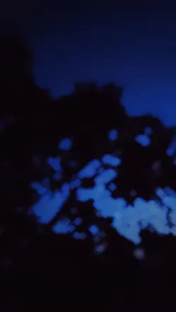 jj cinematic 