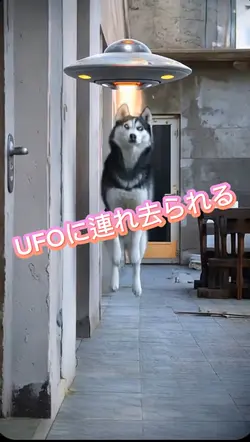写真1枚