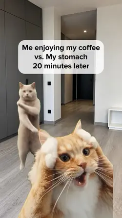 Cats dance trend