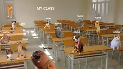 Me and my class