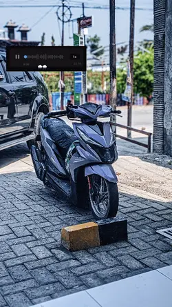 vn mantan