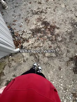 Whatchu want?