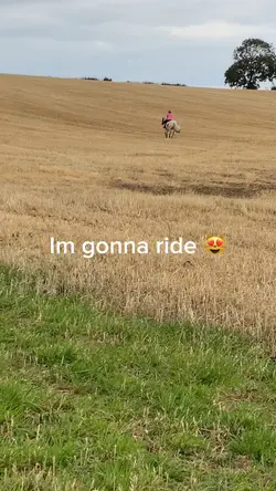 🤩😻😻