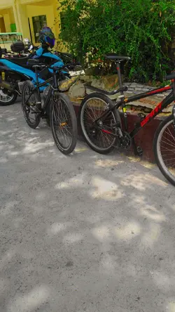 bike montage trend 