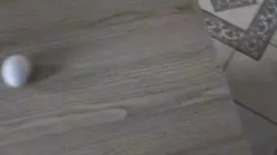 走馬灯