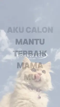 calon mantu terbaik