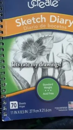Rating my drawings
