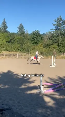look up in the sky