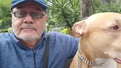 Pitbull amistoso