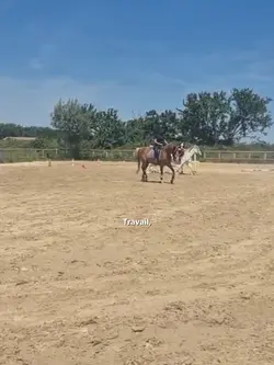 Juste à ça.