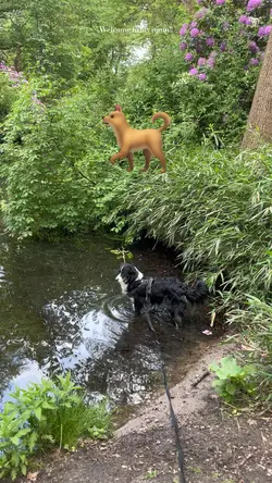 🐕