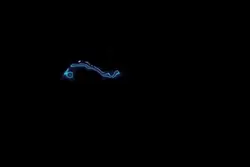 Naruto loading edit