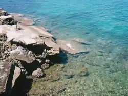 Hirap Kalimutan