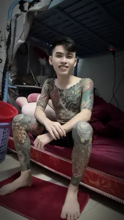 4/3 trình chiếu màu 