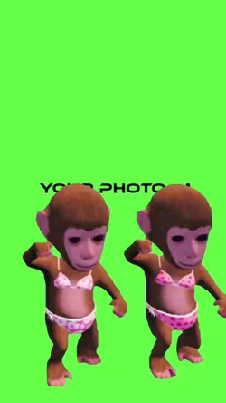 tiktok viral 