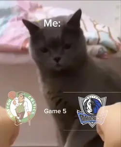 Celtics vs dallas 