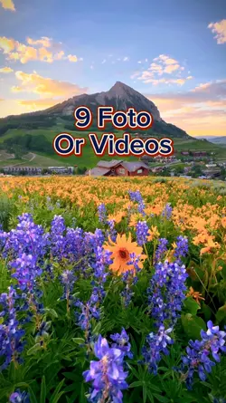 9 foto slide