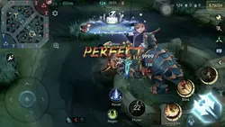 montage chou