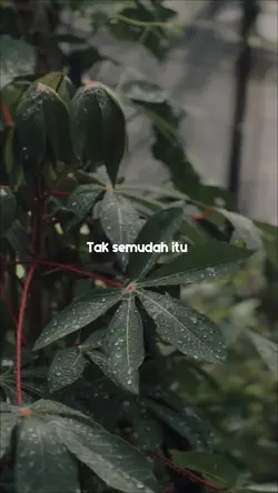 Menabur kasihmenuai