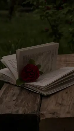 Día del libro