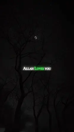 Allah Loves You 