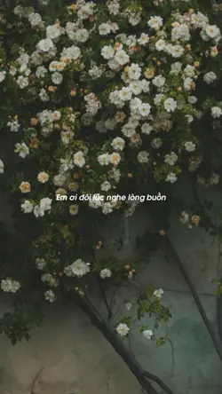 2 ảnh nhẹ nhàng