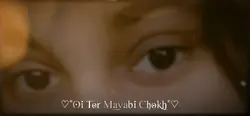 tur mayabi chok 