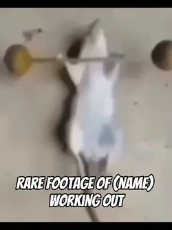 rat working out
