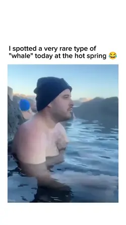 whale at da hotsprin