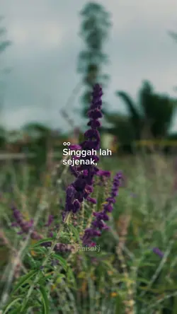 Disisinya
