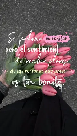 Flores