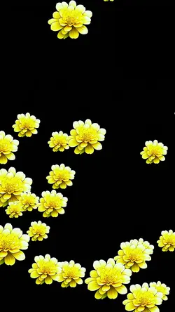Flowers rise