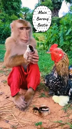 Main Bareng Bestie