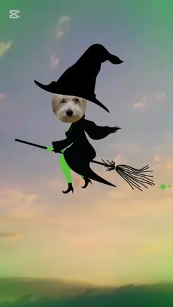 Defying gravity 