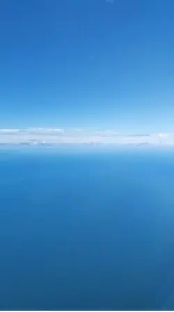 Flying away