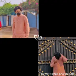 Gulabi Sadi Aani 