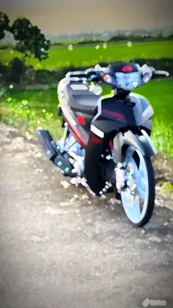 Mẫu 1video
