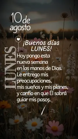 Lunes 10-08 status