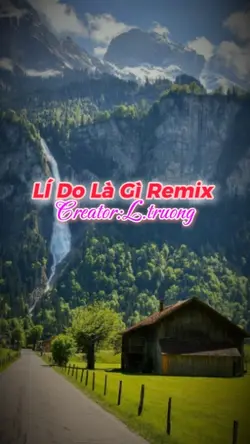 Lí Do Là Gì Remix 