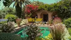SUMMER MEMORIES