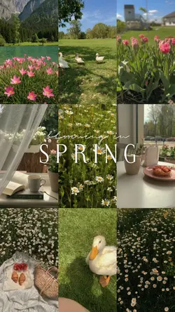 blooming in Spring