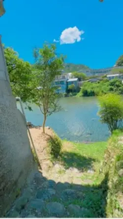 日本の夏