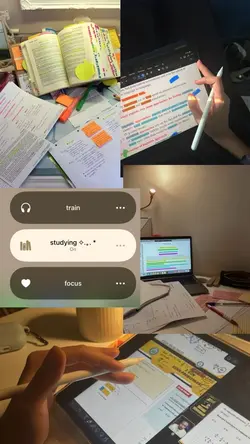 มันก็เลยต้องปีน