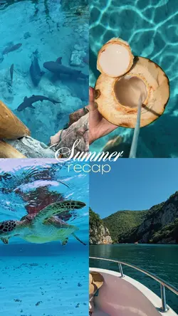 summer recap