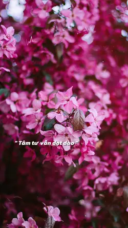 Màu hoa kỷ niệm 