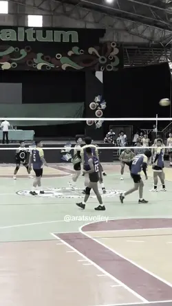 VOLLEYBALL 