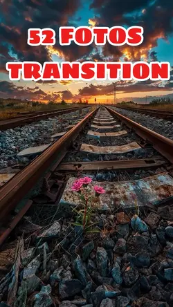 52 FOTOS TRANSITION