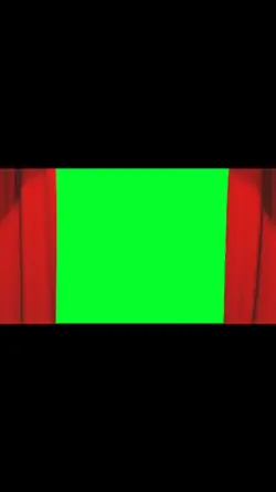 CURTAIN REVEAL