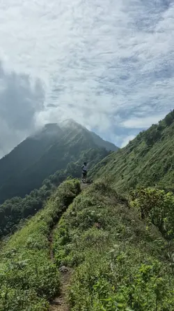 dirgahayu indonesia