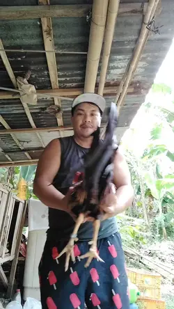 malupit